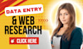 be your virtual assistant for data entry, copy paste and web research