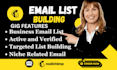 klaviyo email marketing  verified b2b lead generation email marketing campaign