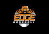 design unique mascot baseball academy logo