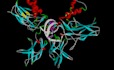 do molecular docking, virtual screening and drug designing