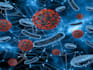 immunology microbiology pathology biochemistry genetics, pathophysiology