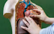 help in biology anatomy physiology histology biochemistry chemistry