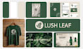 design professional startup, wordmark, and tech logo with redesign service