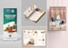 design roller banner and leaflet design or poster design
