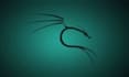 help you in kali linux and penetration testing, configure and troubleshoot linux