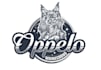 create exclusive and marvelous cat logo design