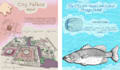create educational infographic illustrations