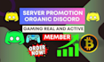 do discord server growth and discord server promotion