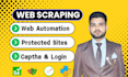 do web scraping, data scraper and selenium web automation