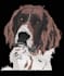 do professional embroidery digitizing into dst