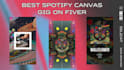do the best spotify canvas for your single, mix tape, ep