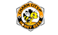 unique eye catching honey bee logo