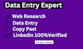 do data entry copy paste web research data mining