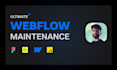provide support and maintenance for websites on webflow