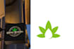 do custom cannabis weed logo design