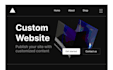 develop and design a website