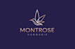 design chic boutique cannabis logo