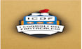 professional mobile application development