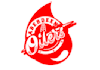 design ice hockey franchise logo