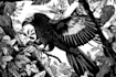 illustrate animal or botanical linocut based