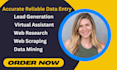 do virtual assistant for data entry, data mining, copy paste, web research