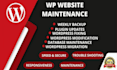 do wordpress monthly maintenance, speed, security, updates