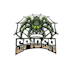 design high quality spider mascot logo with express delivery