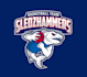 design unique basketball team logo