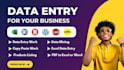 do excel data entry, copy paste, article,books and all type of content writing