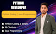 be a python developer for coding, python coding, and java programming