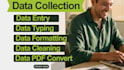 excel data collection expert master