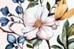paint watercolour botanical illustrations
