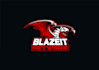 create an aggressive fire breathing dragon logo design