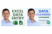 professional excel data cleaning and formatting