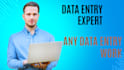 do excel, google sheets data entry, web research, ecommerce data entry