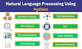 do customized nlp, text classification tasks in python