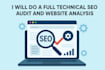 do a full technical SEO audit and website analysis