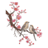 digitize image for embroider as soon as possible