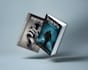 design a professional book cover