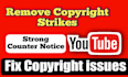 remove copyright infringements, leaked content and takedown youtube video