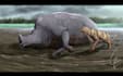 draw paleoart, speculative evolution art and creature design