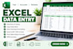 excel data entry, data cleaning and data management