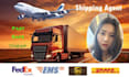 do sea air train logistics freight forwarder shipping from china