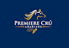 design arabians show horse logo