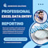 excel data entry  visualization  pivot tables  formatting expert