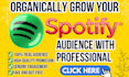 do spotify music promotion, spotify promotion