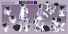 create a furry fursona reference sheet