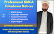 draft a dmca takedown notice to remove stolen content