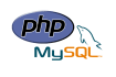 create portfolio or professional website for your business