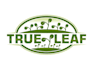 create wonderful and excellent microgreen logo  design